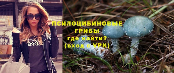 гидра Покачи